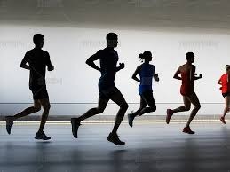 时隔1周再战布赖顿 蓝狮要为英足总杯出局复仇